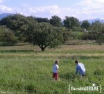 attività sportiva figli