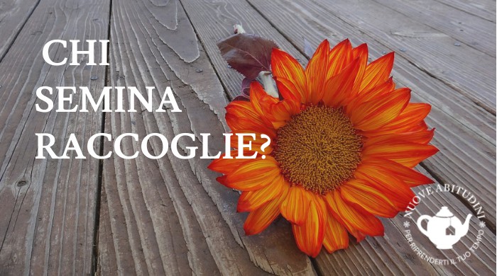 chi semina raccoglie
