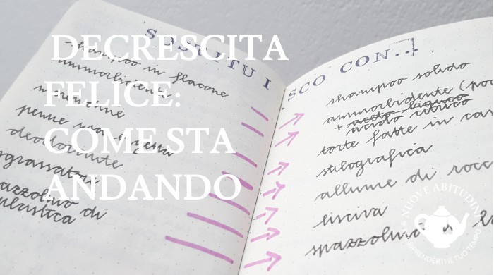 decrescita felice