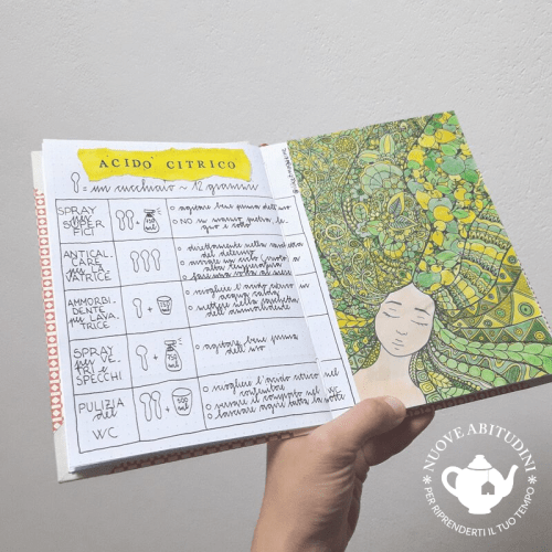 acido citrico home bullet journal